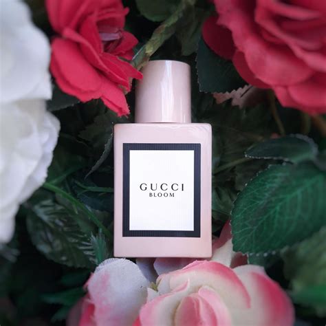 gucci bloom philippines|gucci bloom perfume knock off.